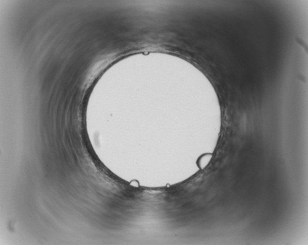 X0000103930055200810171801