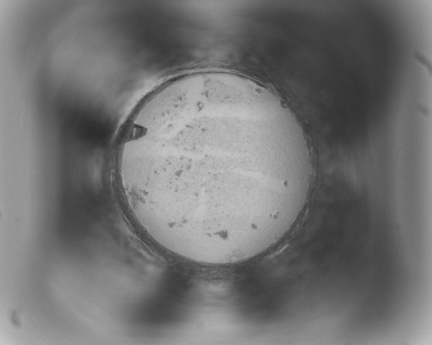 X0000103930056200810171801