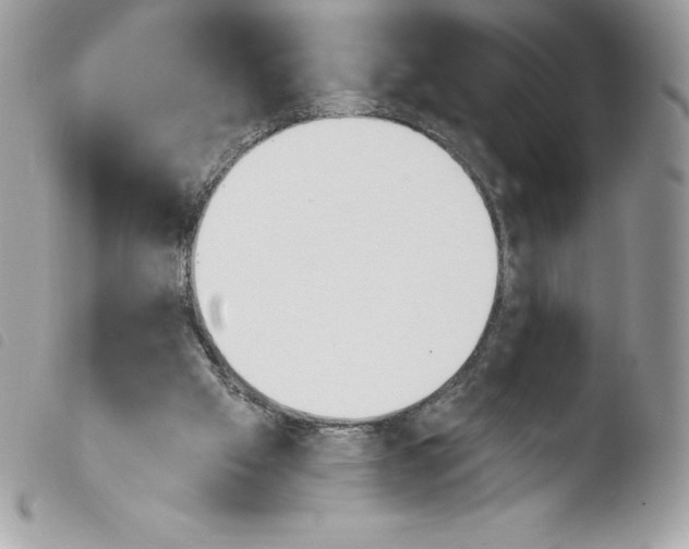 X0000103930057200810171801