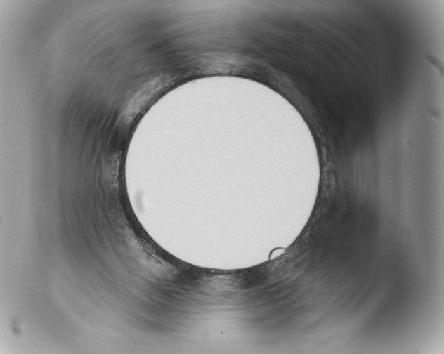 X0000103930058200810171801