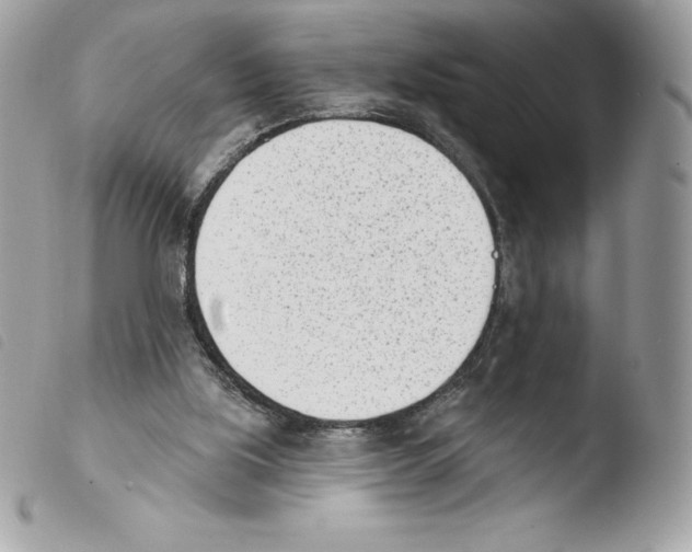 X0000103930059200810171801