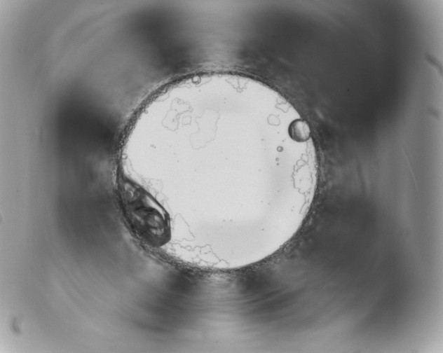 X0000103930060200810171801