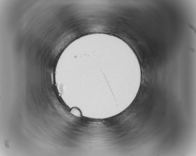 X0000103930061200810171801