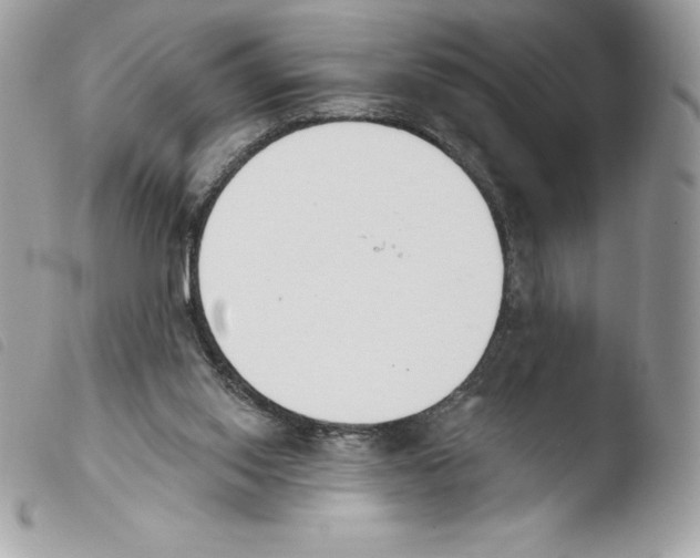 X0000103930062200810171801