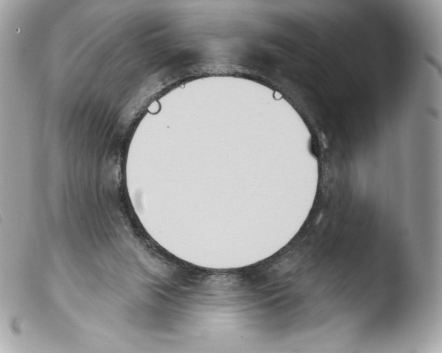 X0000103930063200810171801