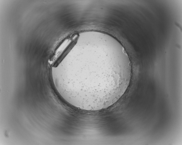 X0000103930064200810171801