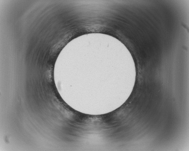 X0000103930065200810171801