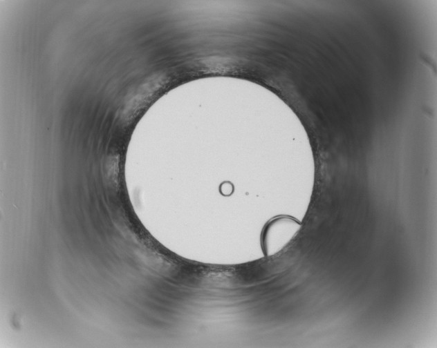 X0000103930066200810171801