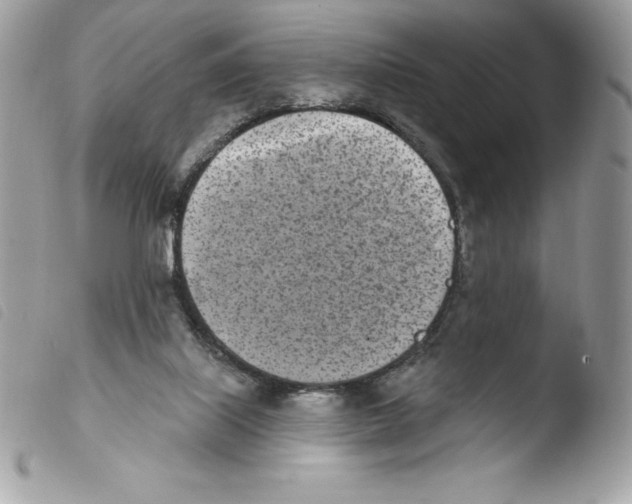 X0000103930067200810171801