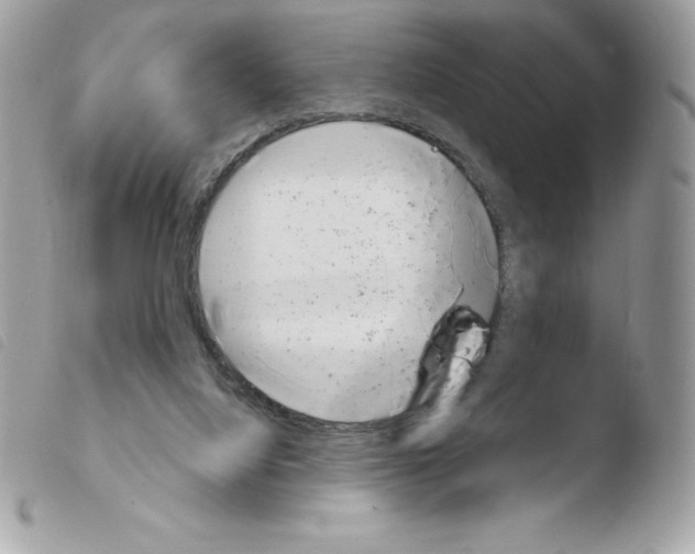 X0000103930068200810171801