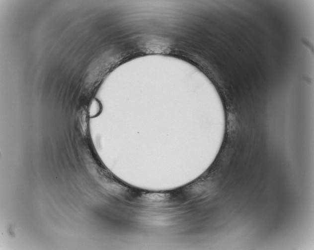 X0000103930069200810171801