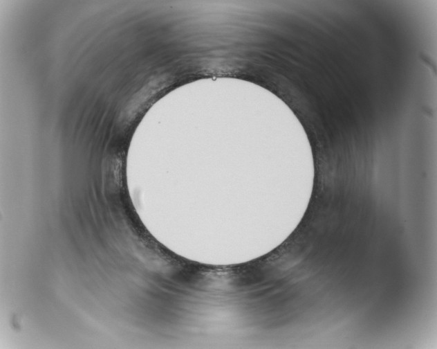 X0000103930071200810171801