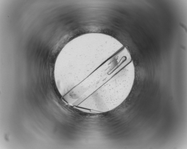 X0000103930072200810171801