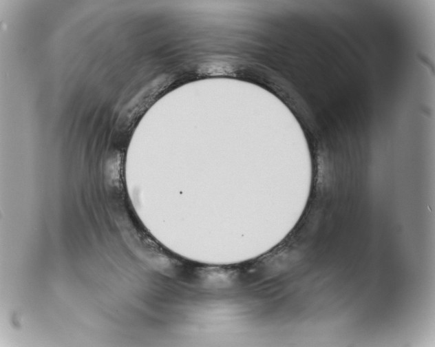 X0000103930073200810171801