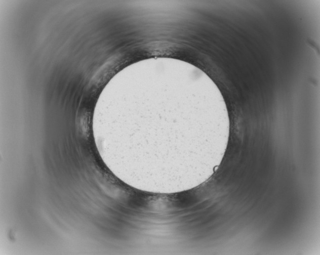 X0000103930074200810171801