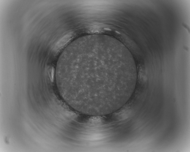 X0000103930076200810171801