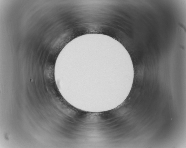 X0000103930078200810171801