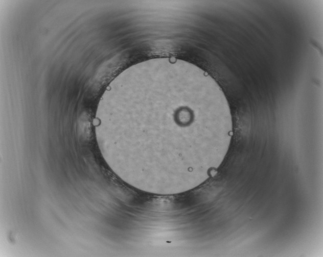 X0000103930080200810171801