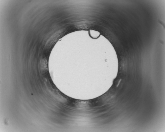 X0000103930081200810171801