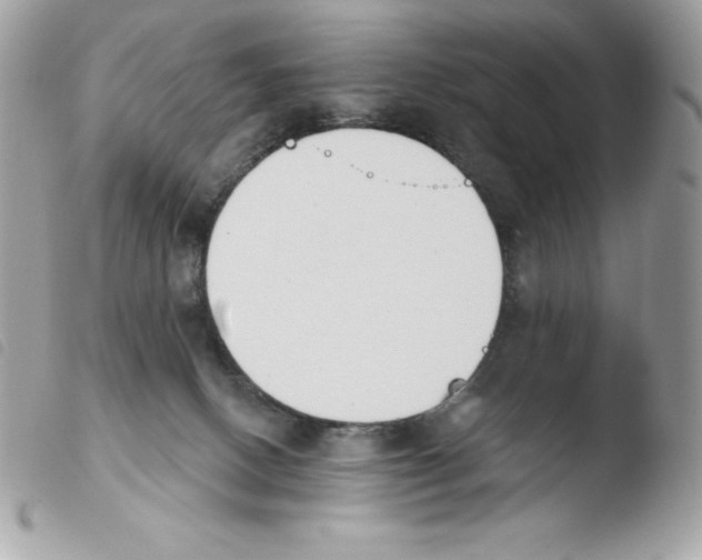 X0000103930082200810171801