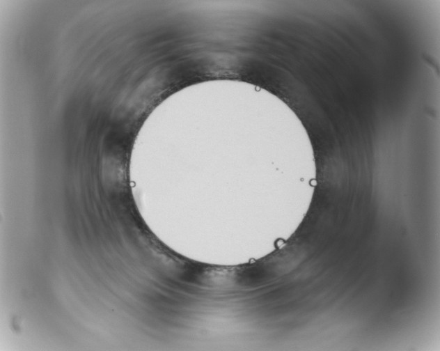 X0000103930084200810171801