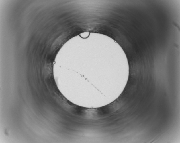 X0000103930085200810171801