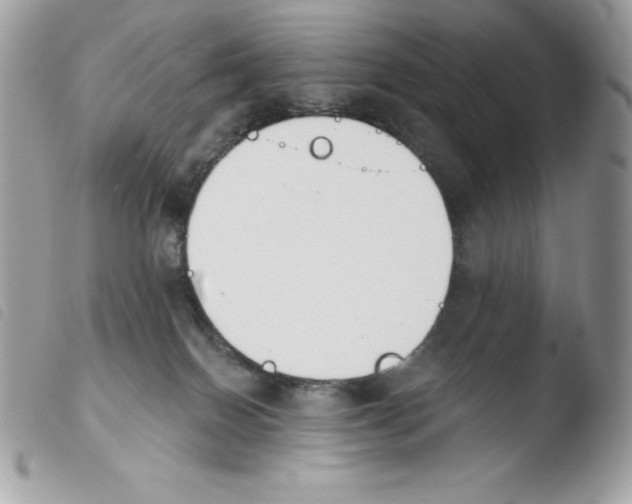 X0000103930086200810171801