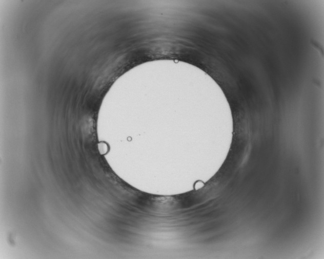 X0000103930087200810171801