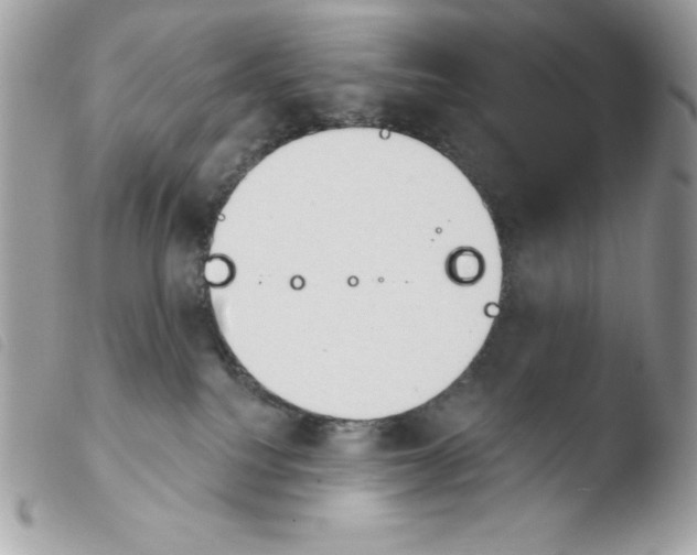 X0000103930088200810171801