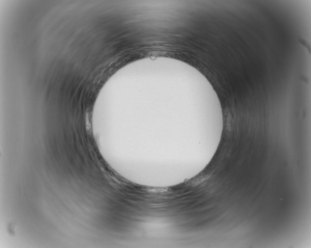 X0000103930089200810171801