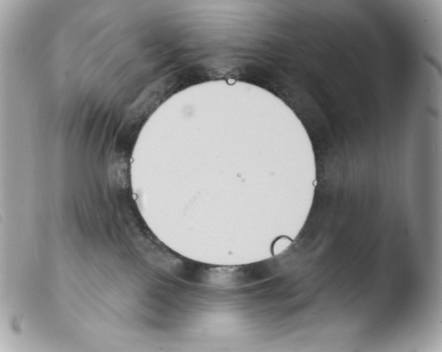 X0000103930090200810171801