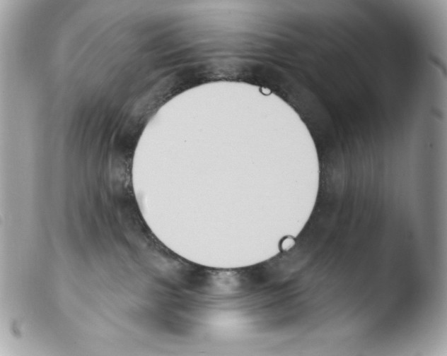 X0000103930091200810171801