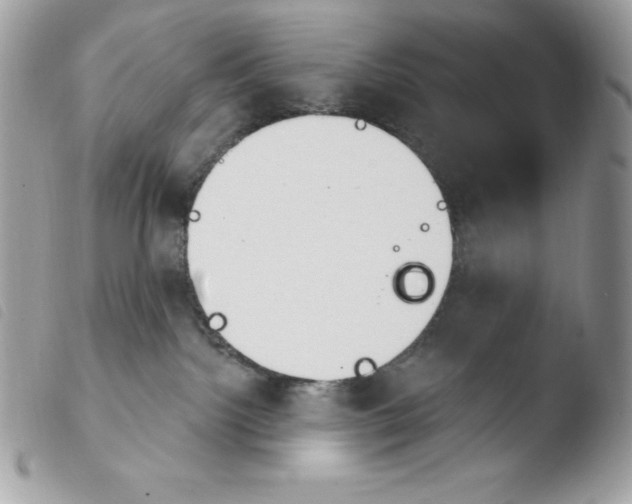 X0000103930092200810171801