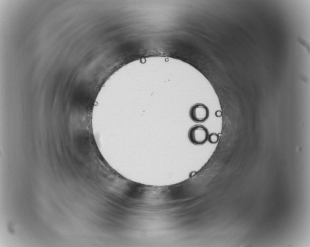 X0000103930096200810171801