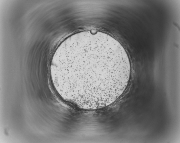 X0000103930097200810171801