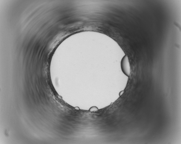 X0000103930098200810171801