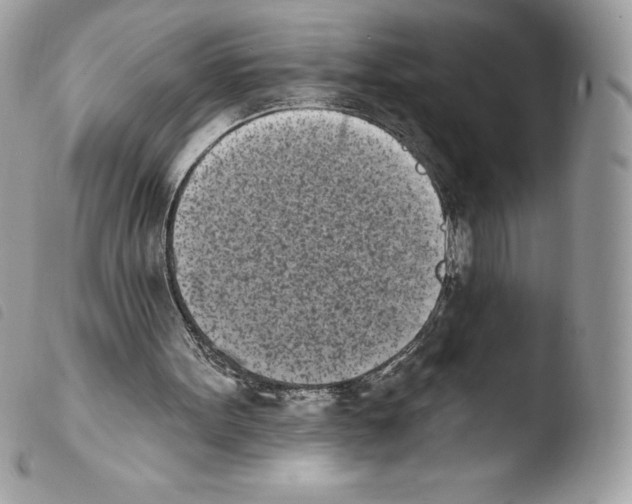 X0000103930099200810171801