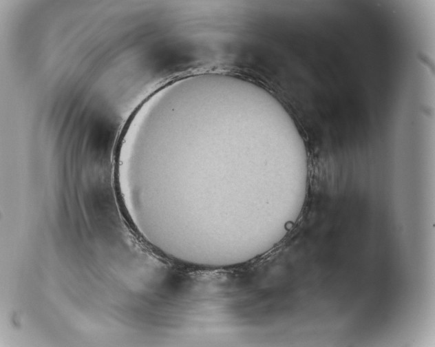 X0000103930100200810171801