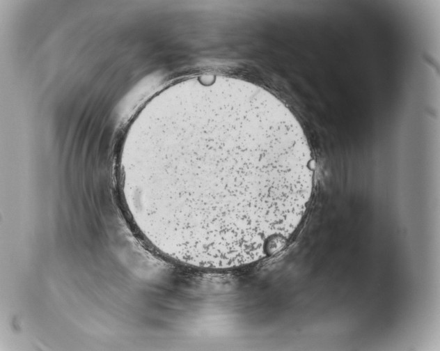 X0000103930101200810171801