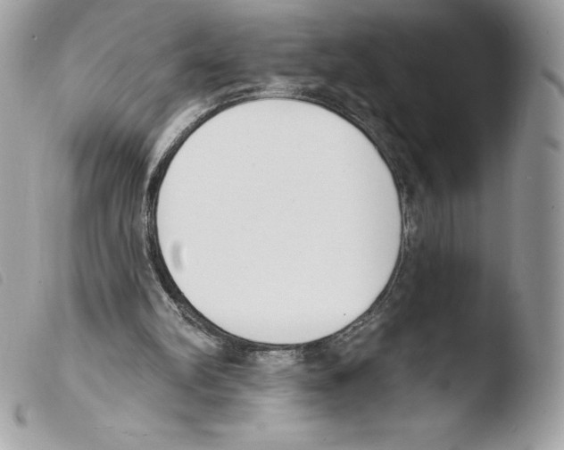 X0000103930102200810171801