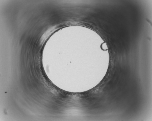 X0000103930103200810171801