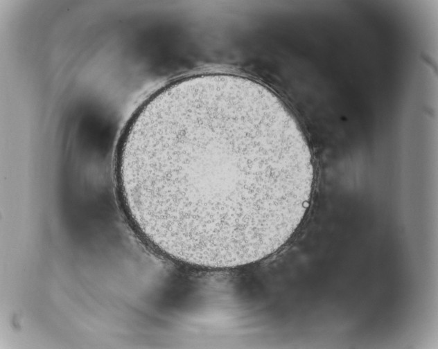 X0000103930104200810171801