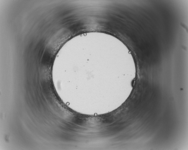 X0000103930105200810171801