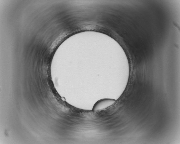 X0000103930106200810171801