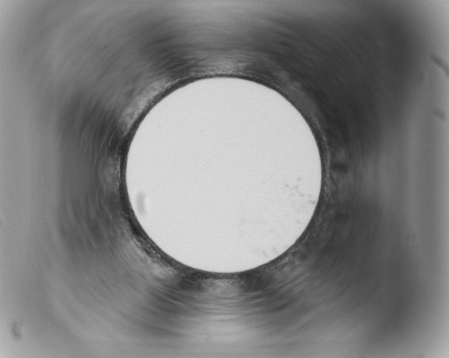 X0000103930107200810171801