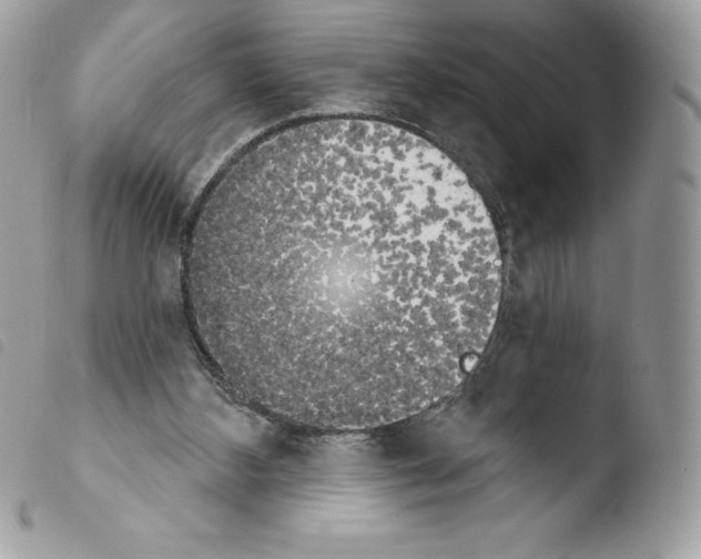 X0000103930108200810171801