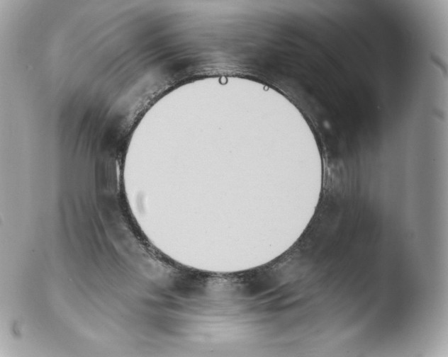 X0000103930109200810171801