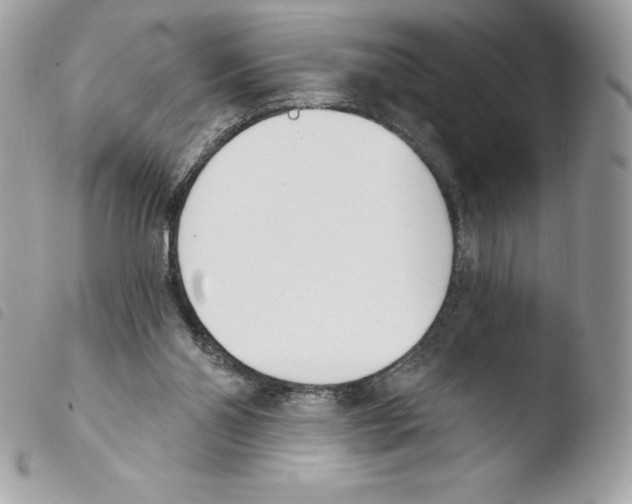 X0000103930110200810171801