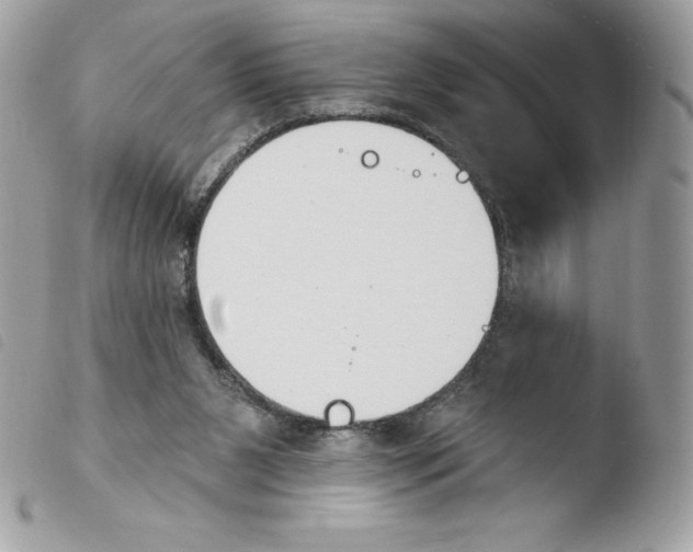 X0000103930111200810171801