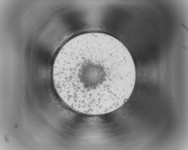 X0000103930112200810171801